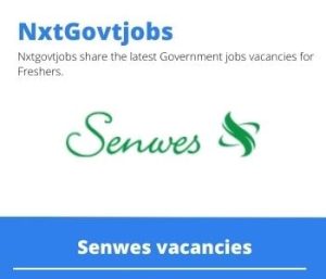Senwes Heavy Vehicle Driver Vacancies in Klerksdorp 2023